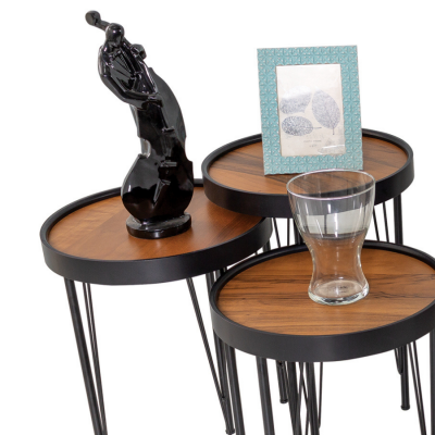 Bosna Siyah Zigon - 3