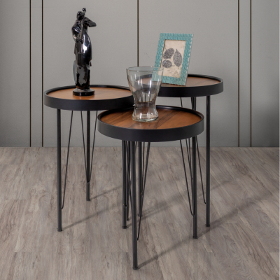 Bosna Siyah Zigon - 1