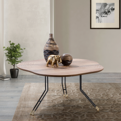 Mona Orta Sehpa - Mobilyateslim